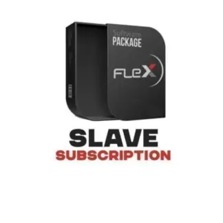 Slave licencija MagicMotorSport Flex įrangai